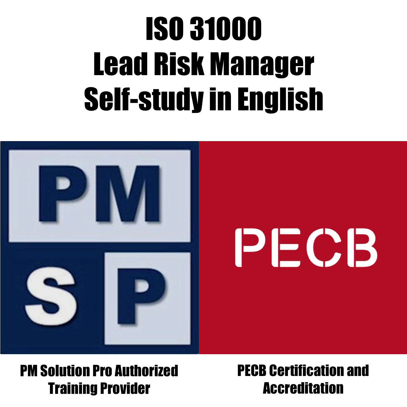 ISO 31000 Lead Risk Manager (Self-study)