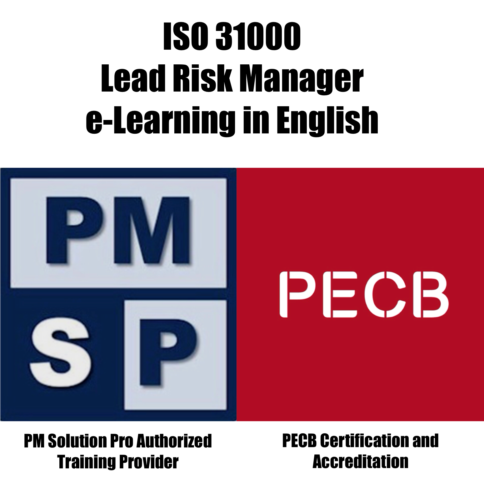ISO 31000 Lead Risk Manager (e-Learning)
